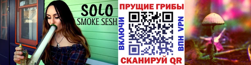 Псилоцибиновые грибы GOLDEN TEACHER  Купить закладки  Новоалександровск 