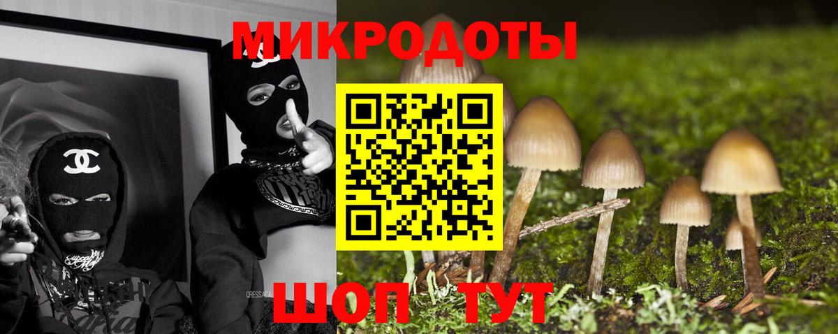Новоалександровск  Галлюциногенные грибы GOLDEN TEACHER  Вход с VPN 